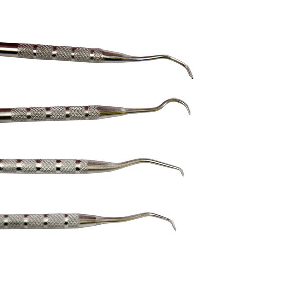 Stainless Steel Gun Cleaning Picks