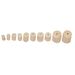 Pistol Pellet Kit